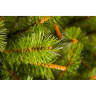Триумф сосна TRIUMPH TREE, Русский север, 215 см, светло-зеленая 72171